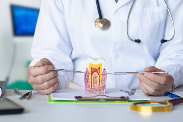 Best Emergency Dentist for Lost Fillings or Crowns in Fort Smith, AR